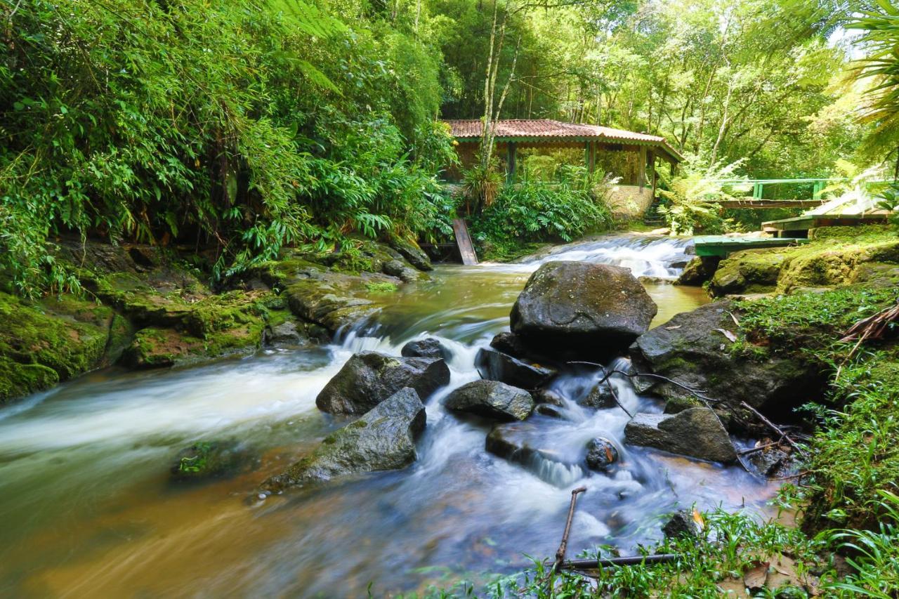 Pousada Fazenda Do Mel Висконди-ди-Мауа Экстерьер фото