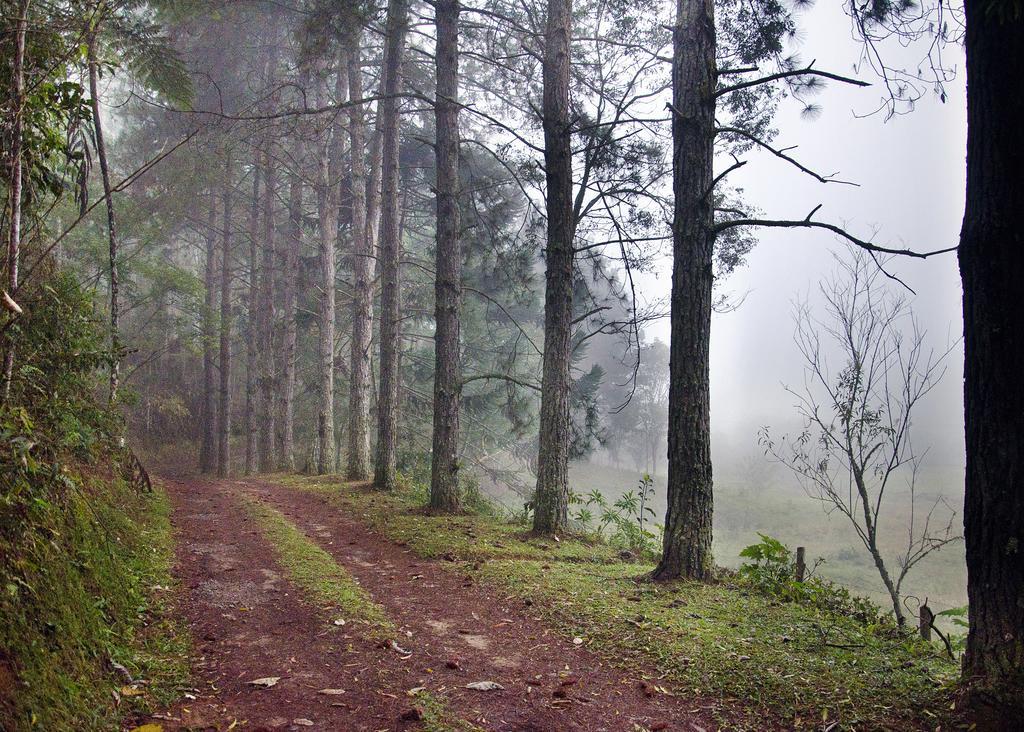 Pousada Fazenda Do Mel Висконди-ди-Мауа Экстерьер фото